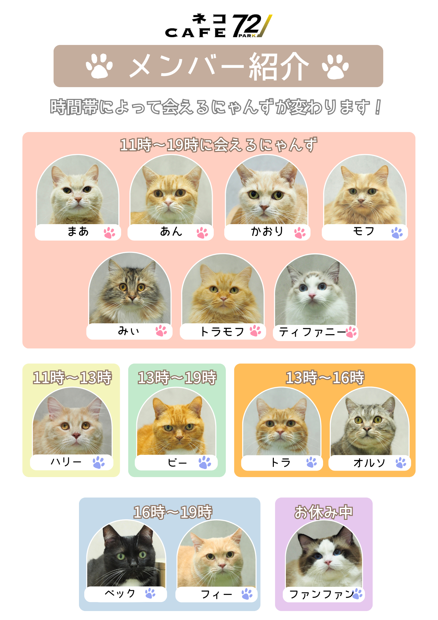 PARK72にゃんずの紹介🐱💗