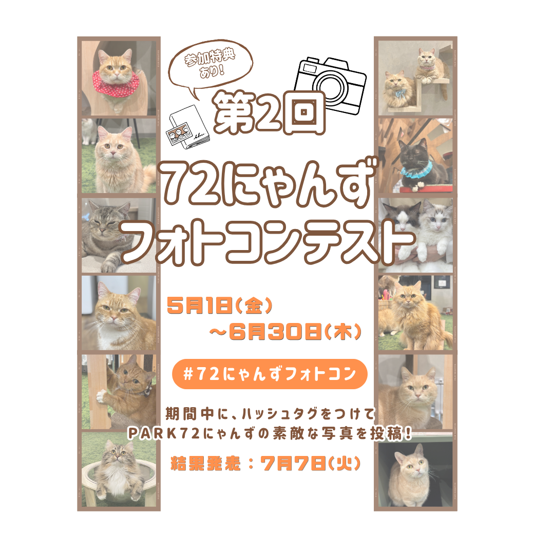 😸にゃんずフォトコンテスト開催中🐾