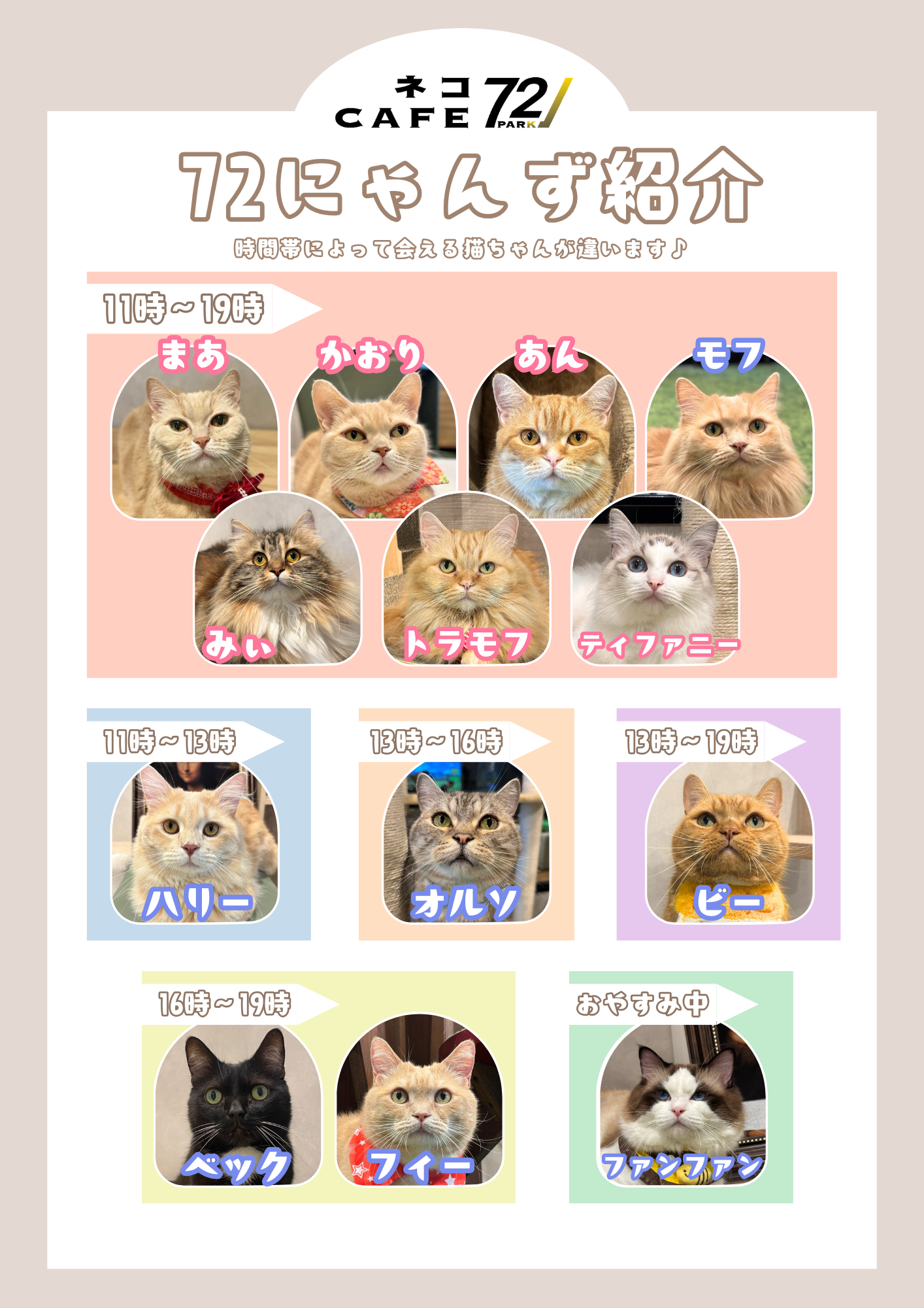 PARK72にゃんずの紹介🐱💗