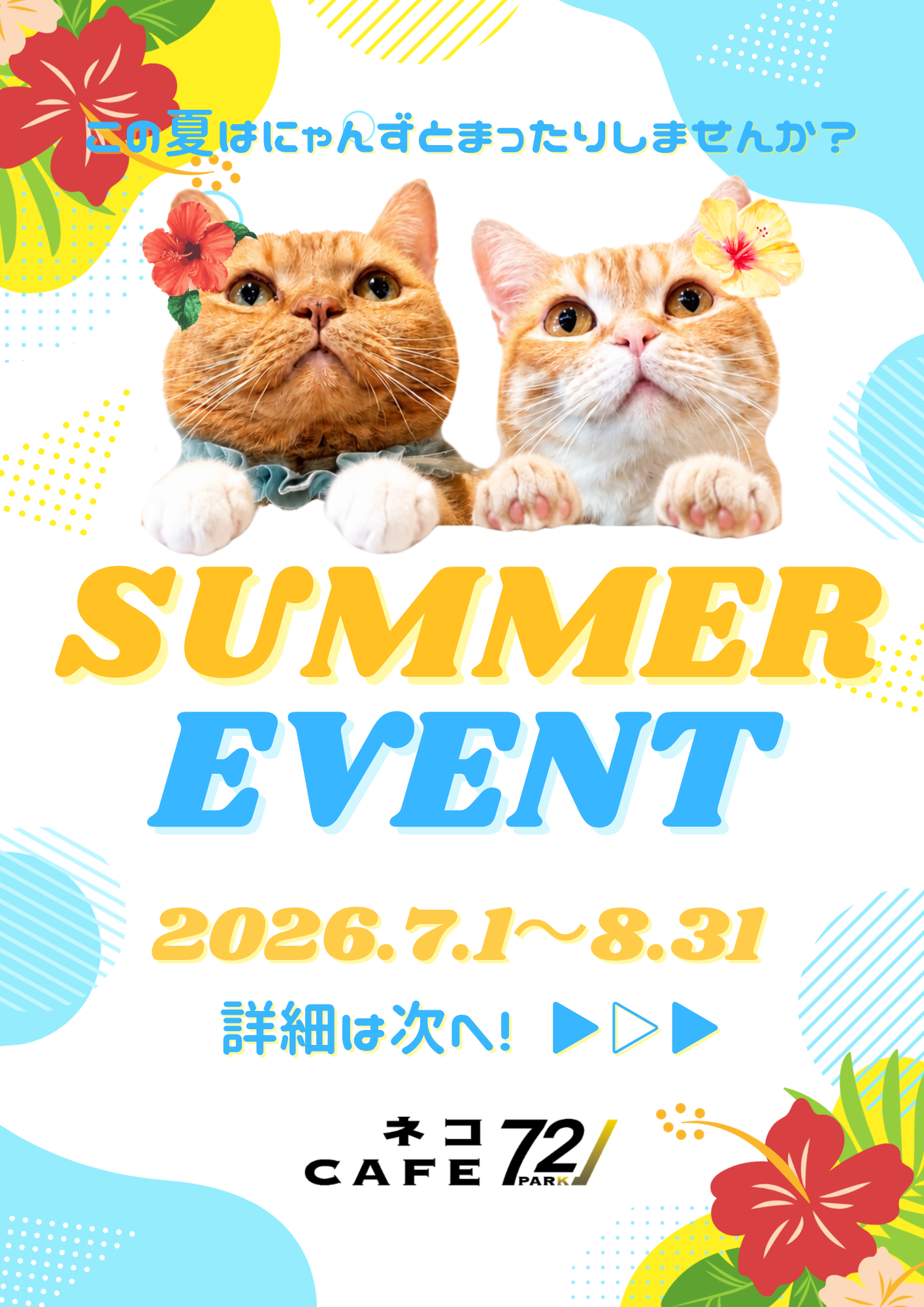 🌻☀️夏イベント🐱🏝️
