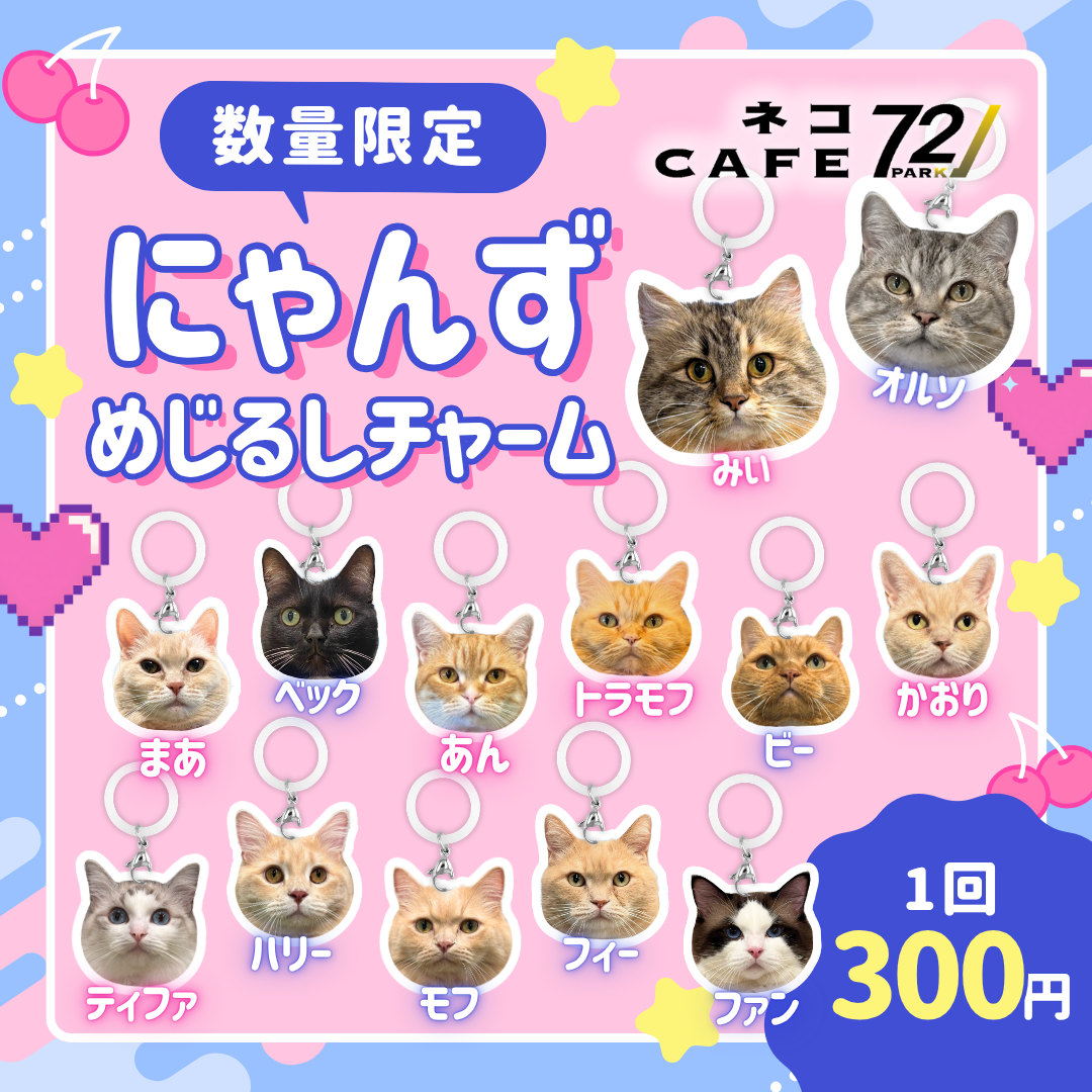 🌟新商品販売のお知らせ🌟