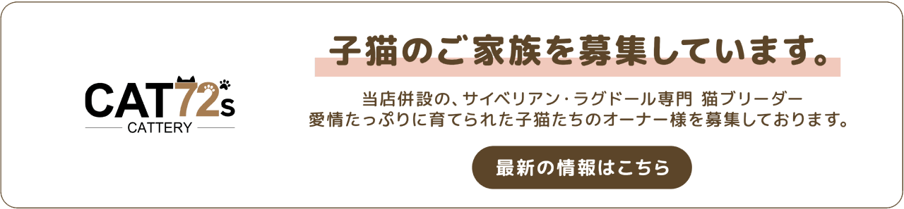 CATZ 保護猫活動