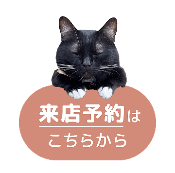来店予約はこちらから