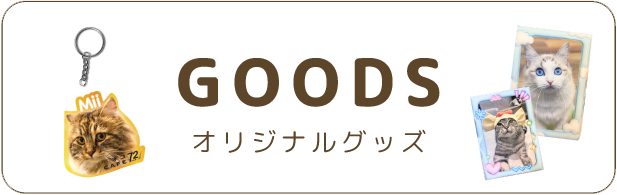 GOODS