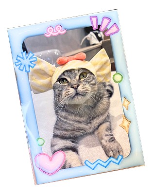 ブロマイド